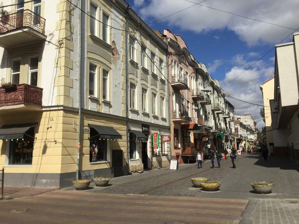Затишна квартира в центрі міста Тернополь Экстерьер фото